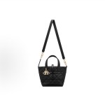 DIOR Toujours Indigenous bag, basket bag, single-shoulder crossbody bag, handbag, small size for women, black